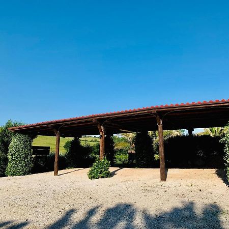8380 Agriturismo L'Oleandro 몬테메라노 외부 사진