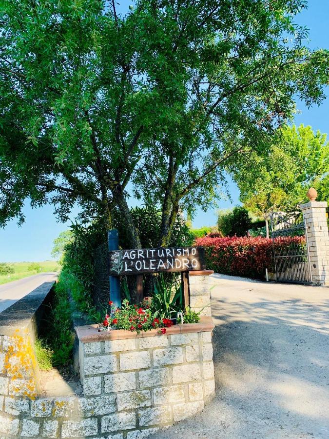 8380 Agriturismo L'Oleandro 몬테메라노 외부 사진