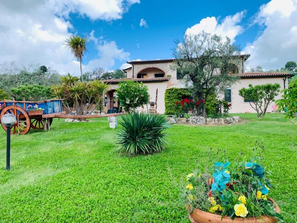 8380 Agriturismo L'Oleandro 몬테메라노 외부 사진