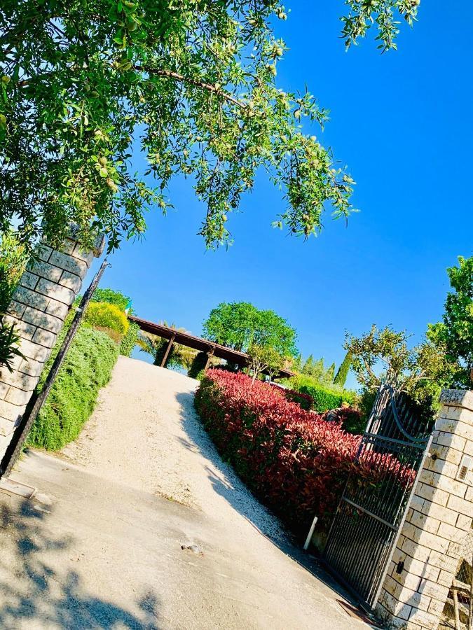8380 Agriturismo L'Oleandro 몬테메라노 외부 사진